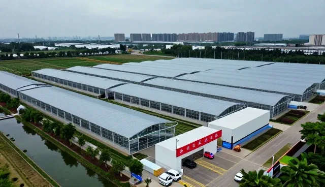 加工解决专业服务中的常见需求